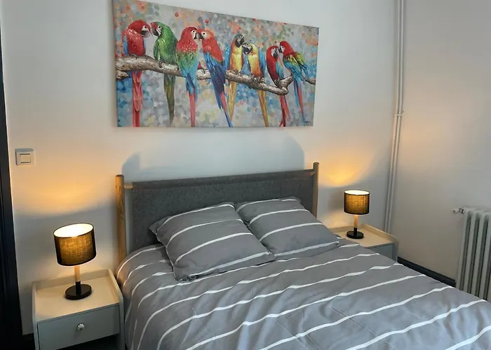 Duplex Renove Quartier Plage